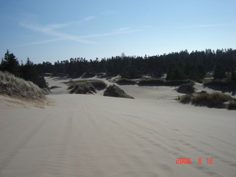1993 Ford Bronco - The image shows a landscape of sand dunes with vegetation and a forest in the background.