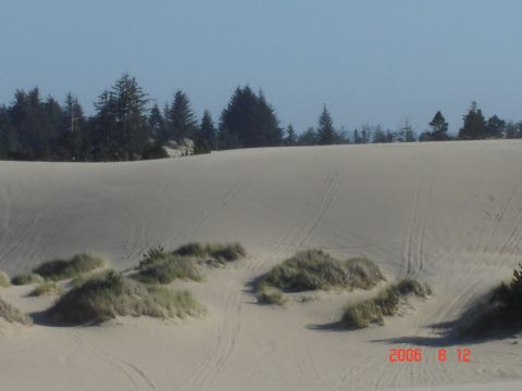 1993 Ford Bronco - Tire tracks mark the sandy terrain of the dunes under a clear blue sky.