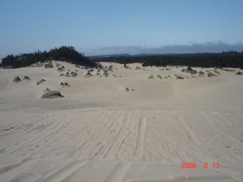 1993 Ford Bronco - A vast expanse of sand dunes under a clear blue sky, with tire tracks indicating recent vehicle activity.