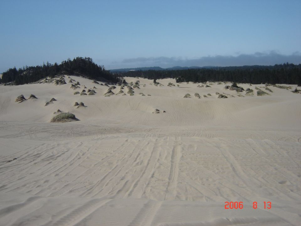 Sand dunes with tire tracks and trees in the background. Watermark says 2006 8 12 SUPERMOTORS.NET