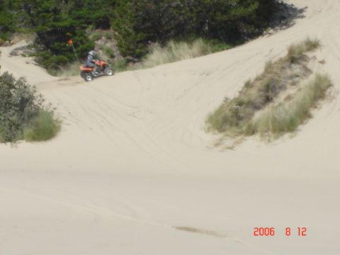 1993 Ford Bronco - ATV navigates a sandy incline with vegetation on the dune crest. Watermark indicates date and website.