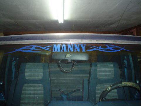 1984 Ford Bronco - Interior view of a vehicle's rear seats and window with custom blue tribal graphics.