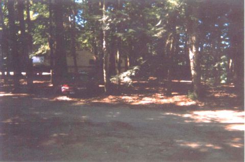 1993 Ford Taurus - A red car is parked in a clearing surrounded by trees, with a building visible in the background.