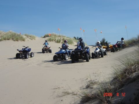 1993 Ford Bronco - Several ATVs are being ridden by people on a sandy terrain with dunes and sparse vegetation under a clear sky.