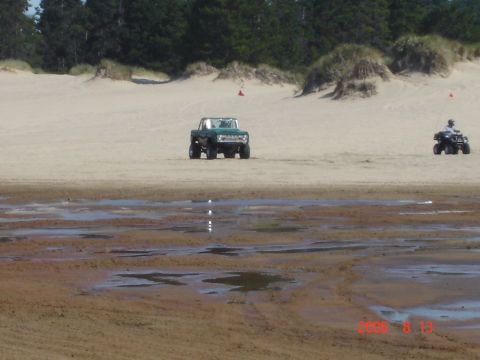 1993 Ford Bronco - A green SUV and an ATV are seen on a sandy terrain with sparse vegetation and trees in the distance.