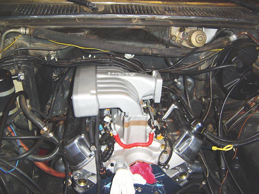 Engine bay with aluminum intake manifold, red plug wire loom, and side-mounted coils