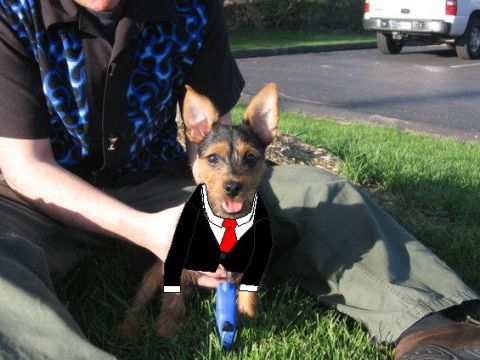 1988 Mercury Grand Marquis - pic of tobi in a suit May '06