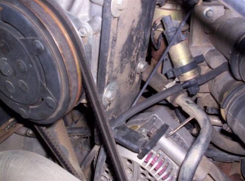 1995 Ford Bronco - Engine bay detail showing AC compressor, alternator, and serpentine belt system.