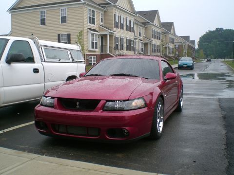 1995 Ford Probe - Wet Cobra