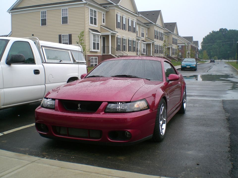 Red Ford Mustang Cobra coupe parked wet at apartment complex, snake badge on grille