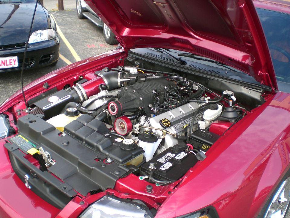 Supercharged Mustang engine bay with red intake, hood up in a parking lot