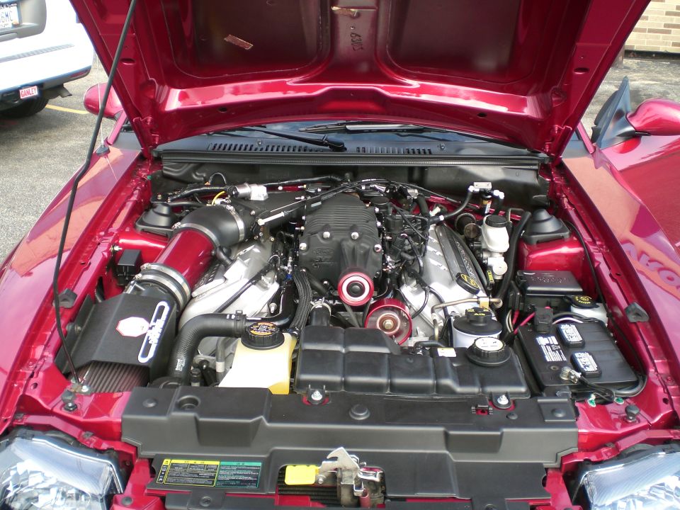 Engine bay of red Mustang with supercharger, cold-air intake and chrome accents, hood open