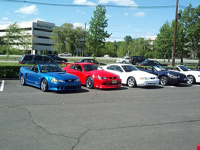 willowbrook 05-19-02
Gotta love the red, the white, and the blue!