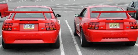 2000 Ford Mustang - St. Patty's Day 2002 meet and cruise, Garden State Plaza, Paramus, NJ....how often do you see two of these together???