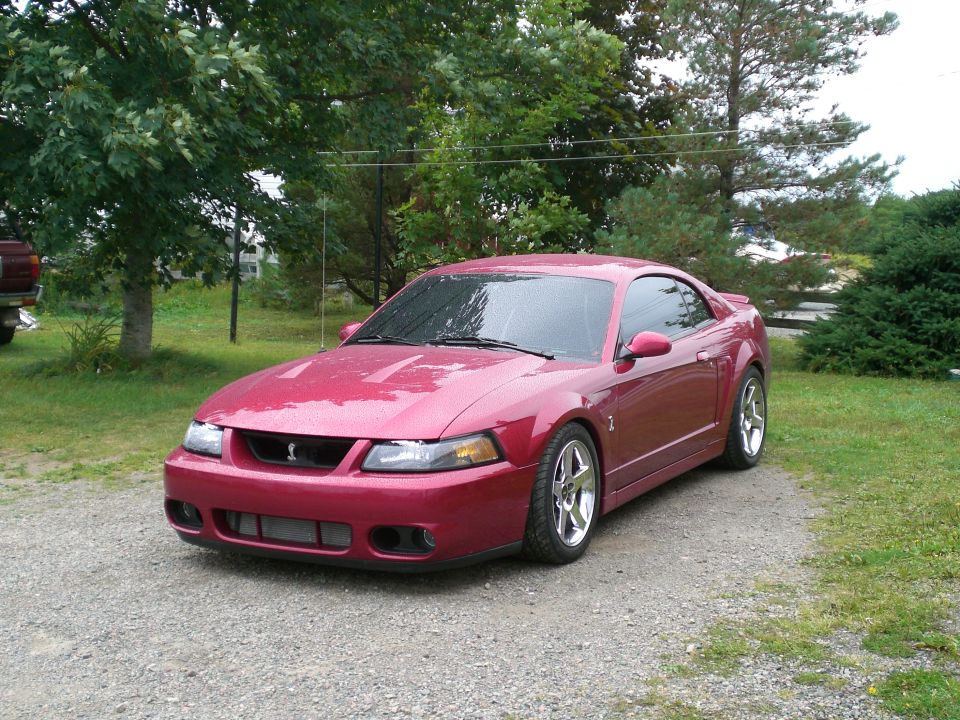 Red Mustang Cobra coupe with snake grille badge parked on gravel driveway by trees