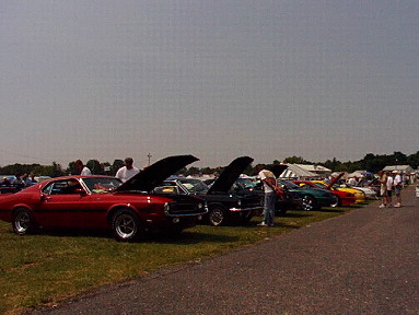 2000 Ford Mustang - 2002 carlisle all-ford-nationals, one of many rows of cars that won awards....