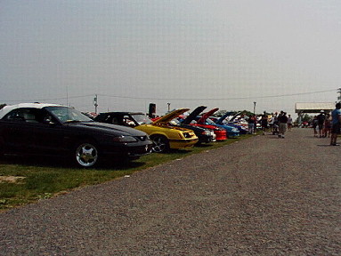 2000 Ford Mustang - 2002 carlisle all-ford-nationals, one of many rows of cars that won awards....