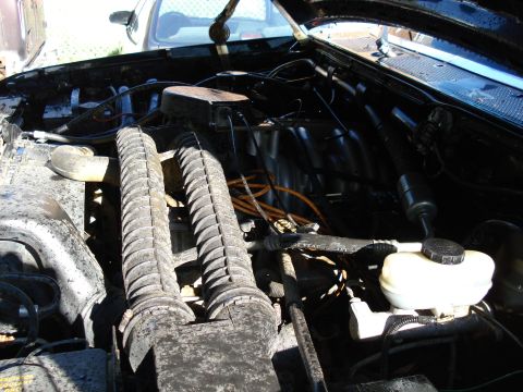1994 Ford Bronco - Engine bay detail with prominent ribbed hoses and brake fluid reservoir visible.