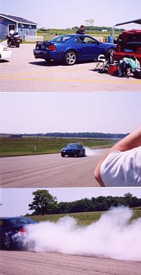 2000 Ford Mustang - 2003 Cobra at Gingerman 06/2002 Burnout! For an MPEG video of the burnout, go to: http://svtcobraclub.com