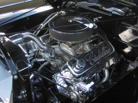 1979 Ford Bronco - Close-up of a polished Cadillac V8 engine, showing the air intake and exhaust manifolds.