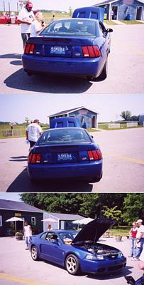2000 Ford Mustang - 2003 Cobra at Gingerman 06/2003 Chocolate Meyers and Bubbette give it thumbs-up :)