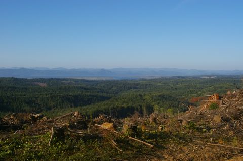 1998 Jeep TJ - A wide view of a deforested area with mountains on the horizon, a SuperMotors logo in the corner.