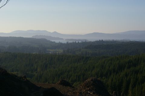 1998 Jeep TJ - A wide view of a forested landscape with rolling hills and distant mountains under a hazy sky.