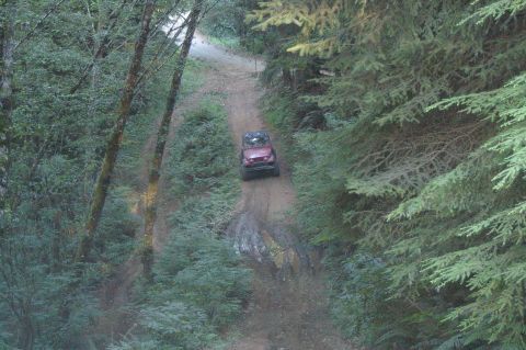 1998 Jeep TJ - A red Jeep navigates a muddy path through a dense forest.