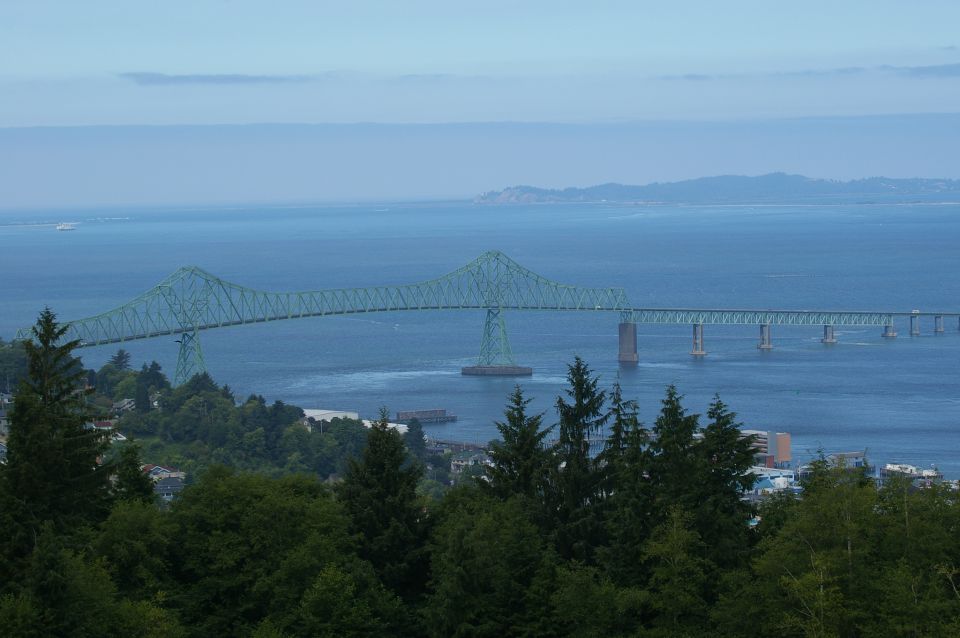 Astoria-Megler Bridge over water, with trees in foreground