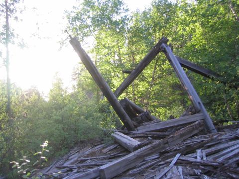 1997 Jeep TJ - A collapsed wooden structure lies in disarray amidst lush green foliage and trees.