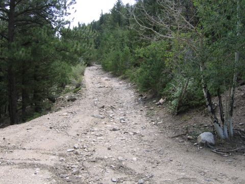 1996 Jeep Cherokee - beginning of the trail, one of two ways