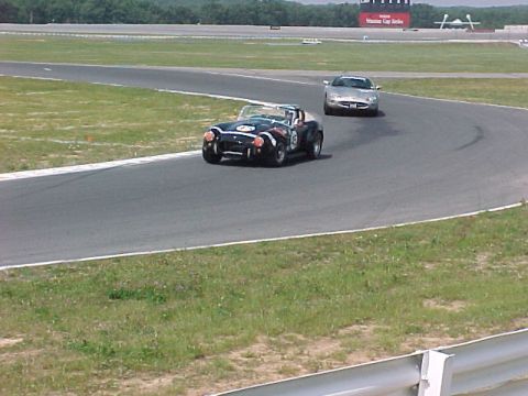 2000 Ford Mustang - Roscoe and Jag