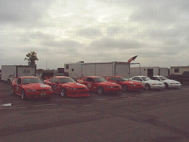 2000 Ford Mustang - cobra R's at MAM