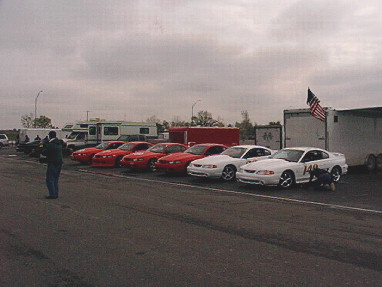2000 Ford Mustang - Cobra R's at MAM