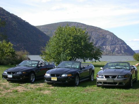 2000 Ford Mustang - cold spring, NY