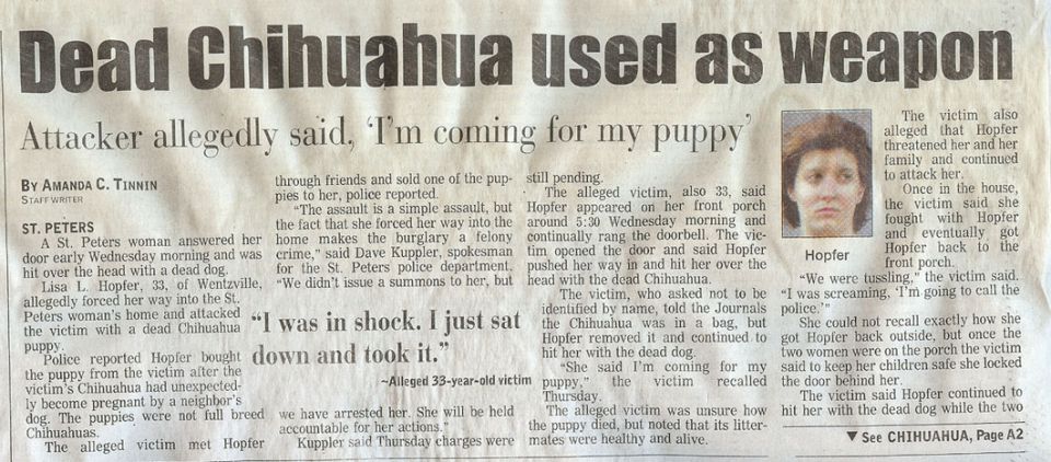 Newspaper clipping headlined Dead Chihuahua used as weapon with a mugshot photo