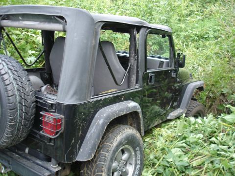 1979 Ford Bronco “NAT”