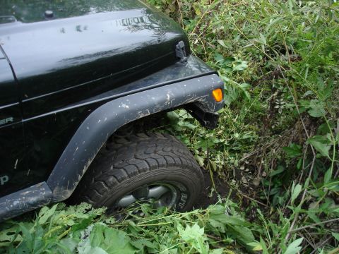 1979 Ford Bronco - A black Jeep Wrangler is partially submerged in vegetation, with its front fender and tire visible.