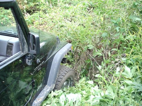 1979 Ford Bronco - A green Jeep Wrangler 4.0L is partially obscured by dense foliage, seen from the side.