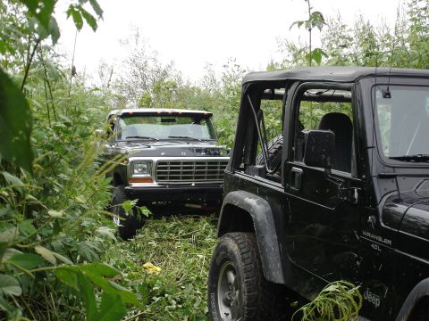 1979 Ford Bronco - Two black off-road vehicles, a 1979 Ford Bronco and a Jeep Wrangler, are parked in tall grass.
