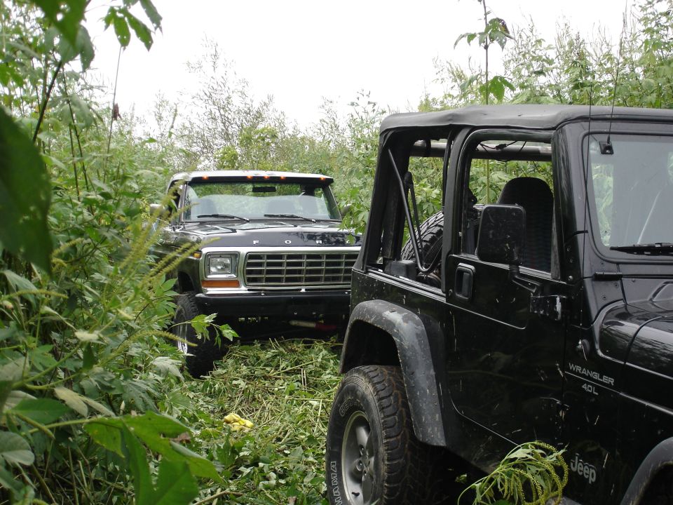 Black late-70s Ford truck front and black Jeep Wrangler 4.0L parked in tall brush