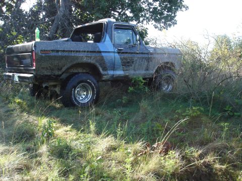 1979 Ford Bronco - This 1979 Ford Bronco is parked off-road, partially obscured by vegetation.