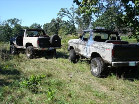 1979 Ford Bronco - Two Ford Broncos are parked in a grassy area with trees in the background under a clear blue sky.