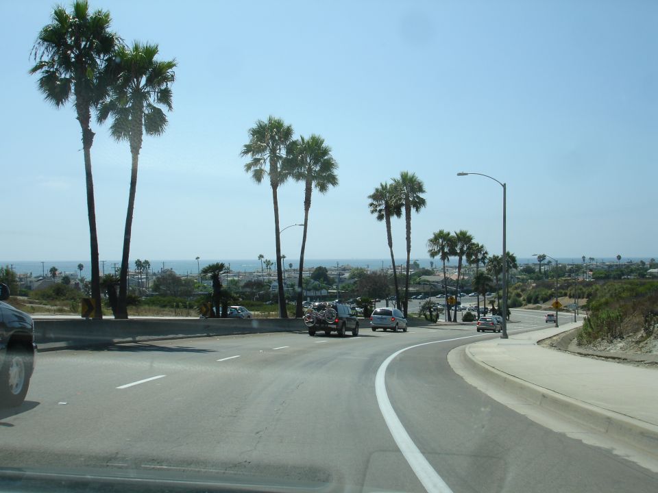 Road curving through a coastal area with palm trees, distant buildings, and the ocean