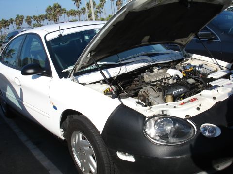 1995 Ford Taurus - White 1995 Ford Taurus with hood up, showing the engine. Parked outdoors with palm trees visible.