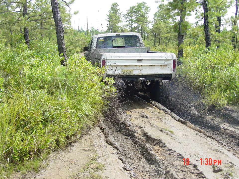 White pickup truck stuck in mud, rear view. License plate SKZ-335