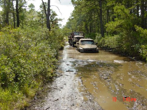 1995 Dodge 1500 - Two trucks navigate a waterlogged dirt path surrounded by dense trees and undergrowth.