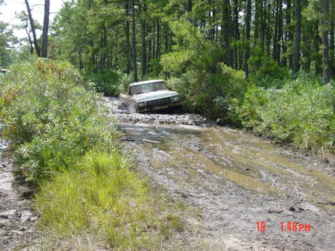 1995 Dodge 1500 - An older Ford F-Series pickup truck is stuck in a muddy path surrounded by trees.