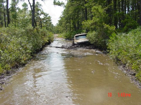 1995 Dodge 1500 - A truck navigates a challenging muddy trail, becoming stuck in the water and mire.
