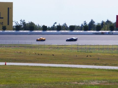 2001 Mercury Grand Marquis - Two cars compete on a race track under a clear sky.